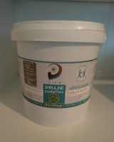 Spiruline