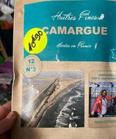 Huîtres fines Camargue
