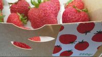 Fraises