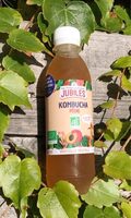 Kombucha Pêche