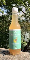 Kombucha Atika Citron Gingembre