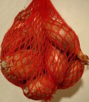 Echalote traditionnelle longue