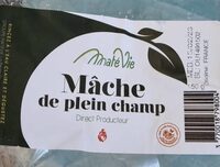 Mâche