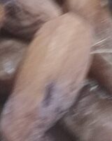 Datte