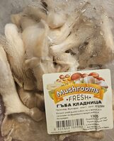 Гъби Кладница