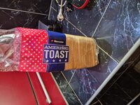 Ameriški TOAST