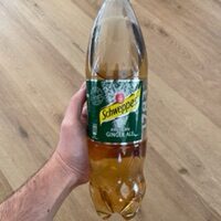 Ginger Ale Schweppes