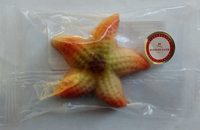 Marzipan Meerestiere