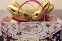 Goldhase lindt