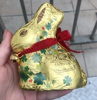 Lapin en chocolat