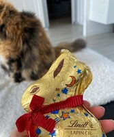 Lapin lindt