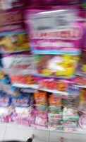 Złote misie haribo