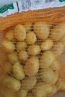 Speisekartoffeln Regina festkochend