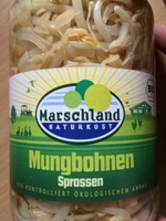 Mungobohnen Sprossen