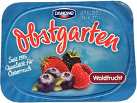 Danone Obstgarten Waldfrucht 190g