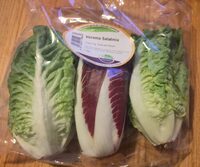 Veroma Salatmix