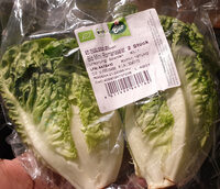 Romanasalat Bio / Salade romaine bio