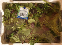 Wildkräutersalat