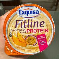 Fitline Protein 2801