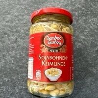 Sojabohnen-Keimling