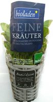Feine Kräuter Basilikum