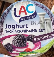 Joghurt nach griechischer Art Blaubeere