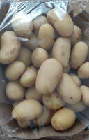 Speisekartoffeln festkochend Regina