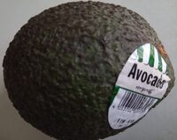 Avocado