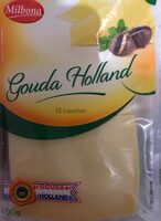 Gouda holland