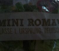 Roma Salatherzen