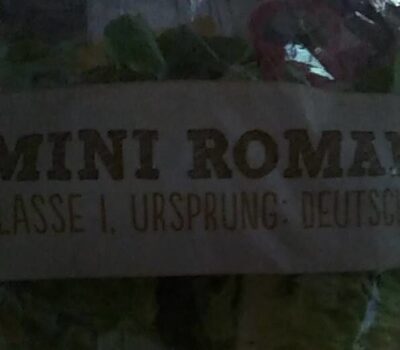 Roma Salatherzen