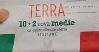Uova allevate a terra