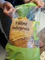 Pâine integrala