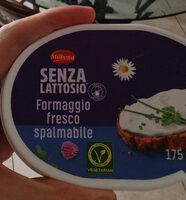 Formaggio fresco spalmabile