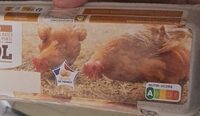 12 oeufs frais Poules élevées au sol