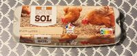 Oeufs frais datés du jour de ponte sol
