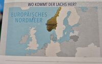 Büsumer premium graved lachs