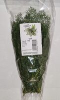 Frische Kräuter - Dill