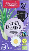 Cozy Evening
