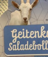 Geitenkaas saladebolletjes 45+