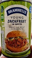 Young Jackfruit