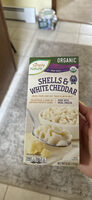 Shells & White Cheddar