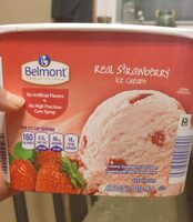 Real Strawberry Ice Cream