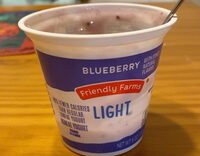 Light Blueberry Yogurt