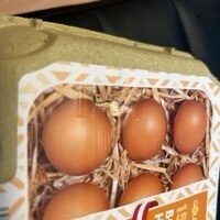 Eier
