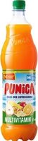 Punica Multivitamin 17+4