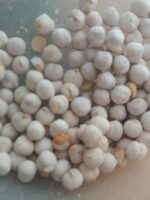 Chickpeas roasted pois chiche