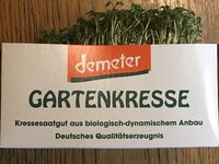 Gartenkresse