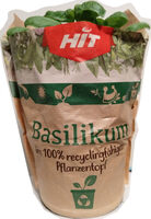 Basilikum