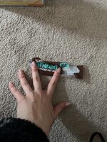 Low Sugar Nut Bar